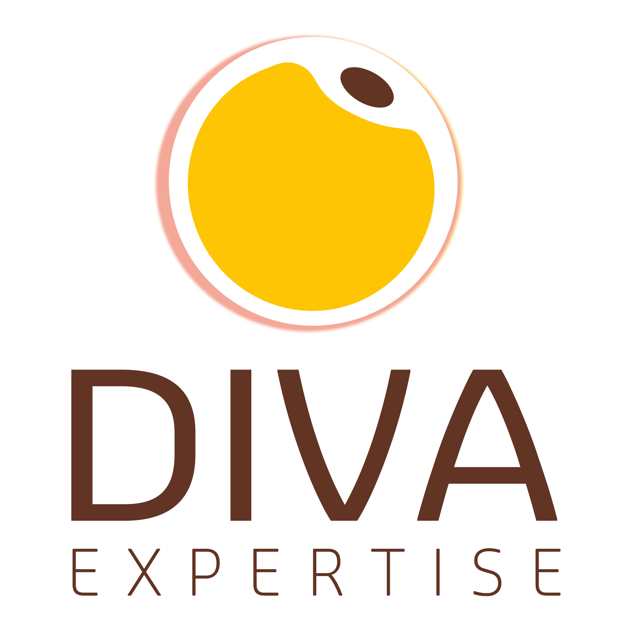 DIVA Expertise by Comm'IN
